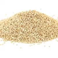 Quinoa
