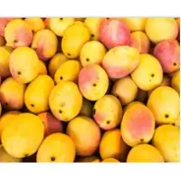 Kesar Mango