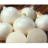 White Onion