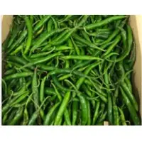 Green Chilli