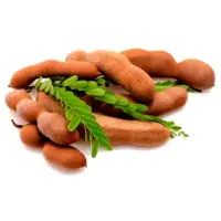 Tamarind