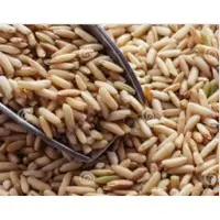 Brown Rice