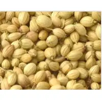 Coriander Seeds