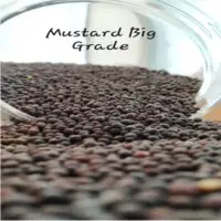 Mustard Seeds