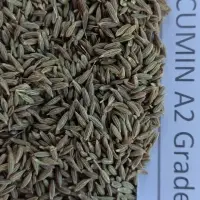 Cumin Seeds