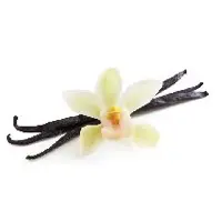 Vanilla
