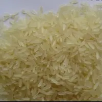 IR-64 Rice