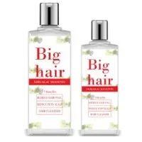 Big Hair Anit- Dandruff Shampoo