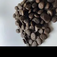 Dog Food