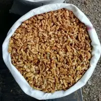 Ukraine Walnut