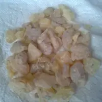 Gum Copal