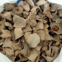 Konjac Chips