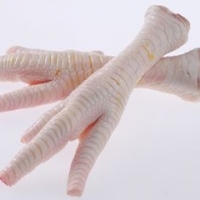 go4_apollo_cetus_imageUrl_1589285479 Frozen Chicken Suppliers