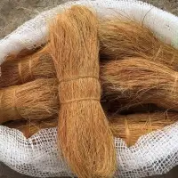 Coir Fiber Bristol