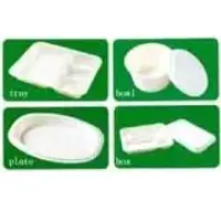 Paper tableware