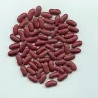 Red And Black Kidney Beans