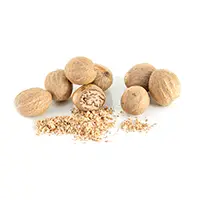 Ceylon Nutmeg