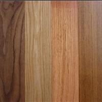Engineered flooring - birch