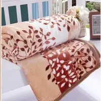 Coral Fleece Blanket