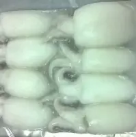 Frozen Baby Cuttlefish