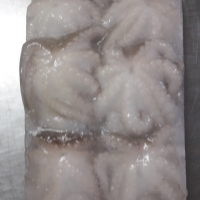 Frozen Baby Octopus