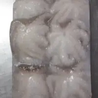 Frozen Baby Octopus