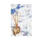 Aromatic Diffusers