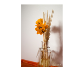 Aromatic Diffusers