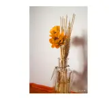 Aromatic Diffusers