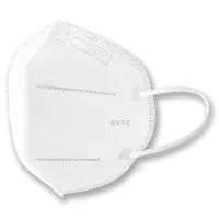KN-95 Face Mask