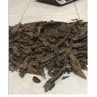 Aquilaria Malaccensis