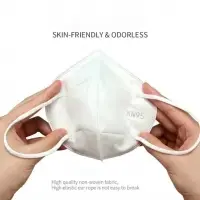 N95 Face Mask