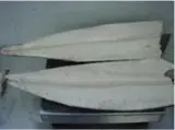 Smooth skin oil fish fillet