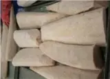 Sword fish