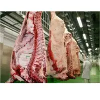 Frozen Beef