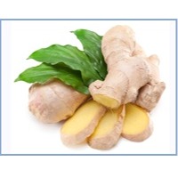 Ginger