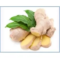 Ginger