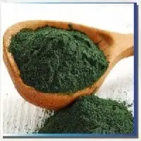 Spirulina Powder