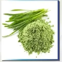 Wheatgrass Powder