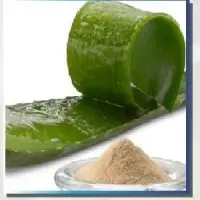 Aloe Vera Powder