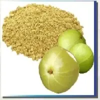 Amla Powder