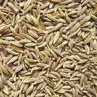 Cumin seeds