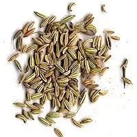 Fennel seeds