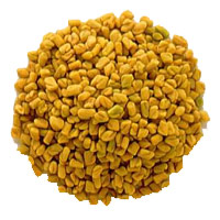 Fenugreek seeds