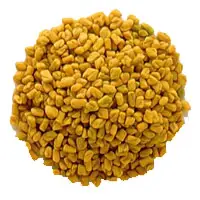 Fenugreek seeds