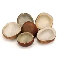 Dry Coconut Or Coconut Copra