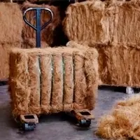 Coconut Fiber Or Coir Fiber