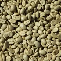 Robusta Java Indonesia