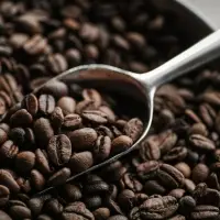 Roasted Beans