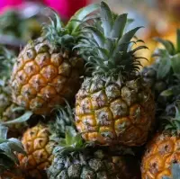 Pineapple